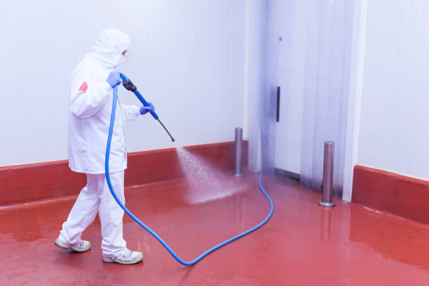 Best Boat and Dock Cleaning  in Crandon Lakes, NJ